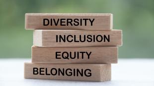 A stack of blocks reads "Diversity, Equity, Inclusion, Belonging."