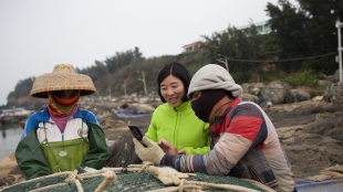 Fisherpeople show a person a photo on their phone on the coast of a water body surrounded by nets and boats